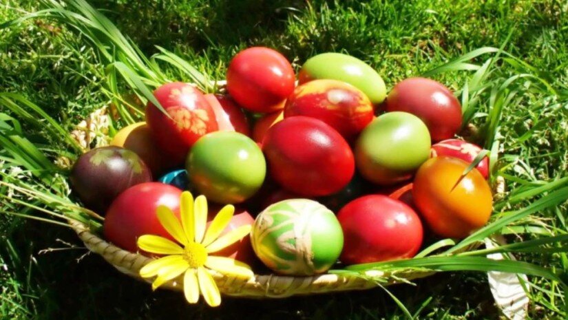 „მაღალი რისკის შემცველია...“ - სურსათის უვნებლობის სპეციალისტი საღებავებთან დაკავშირებით მოსახლეობას აფრთხილებს